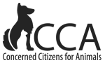 CCA-logo-img