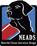 neads-logo-alt